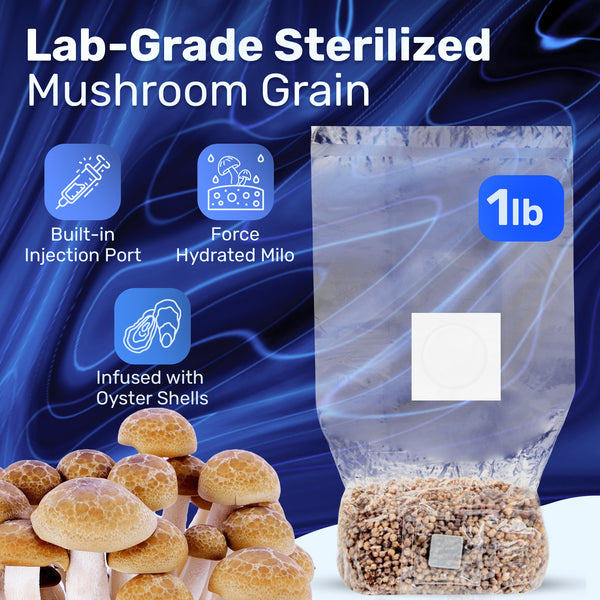 4lb Grow-in-Bag Kit