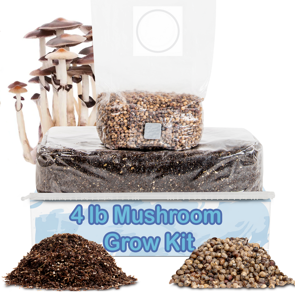 4lb Grow-in-Bag Kit