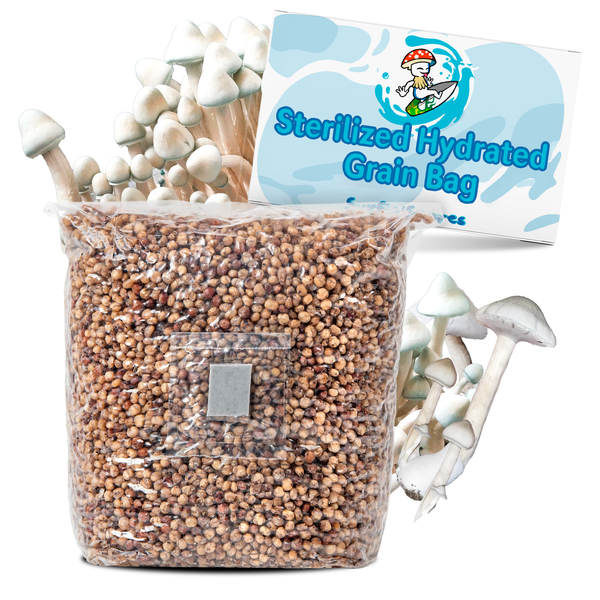 2lb Grain Bags