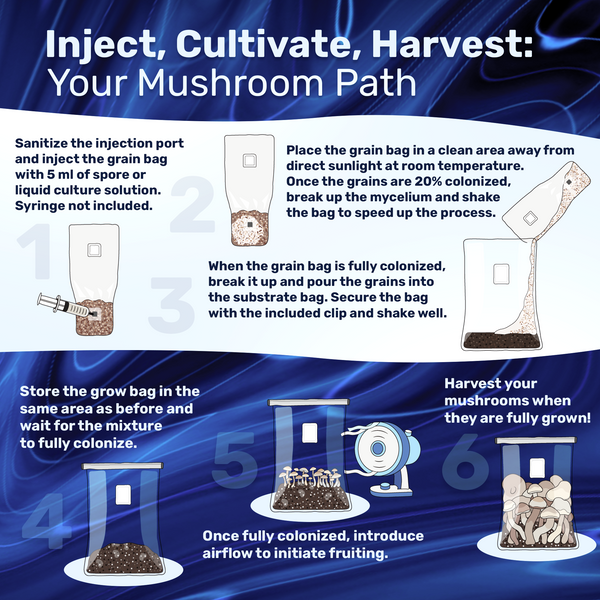 4lb Grow-in-Bag Kit