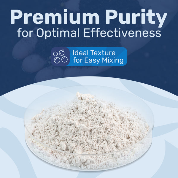 Gypsum Powder
