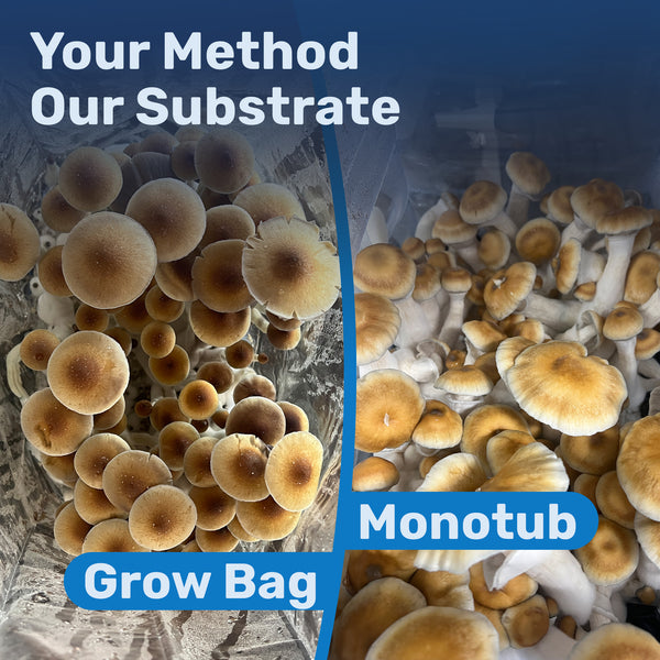Bulk Substrate