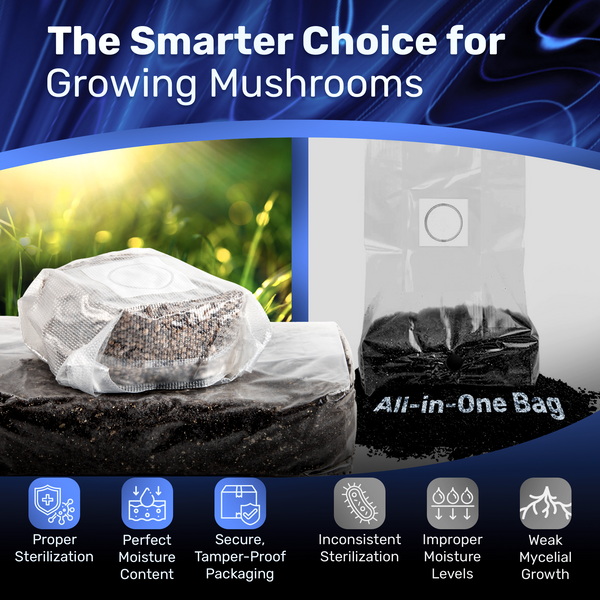 4lb Grow-in-Bag Kit