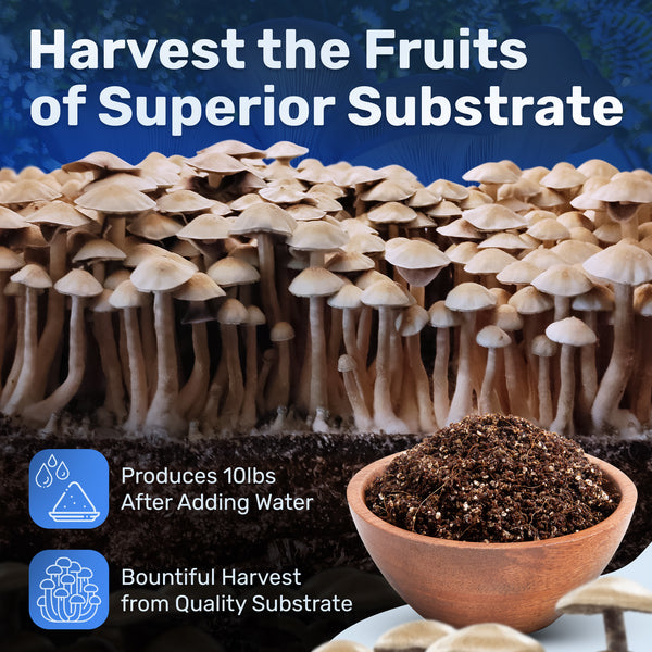 Dry Substrate Mix