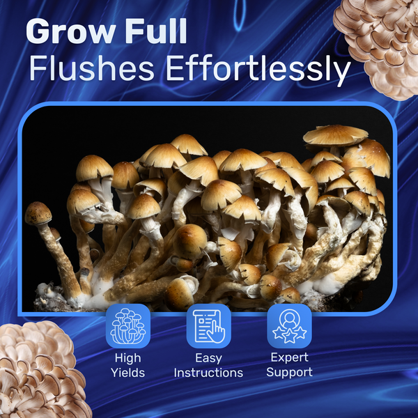 4lb Grow-in-Bag Kit