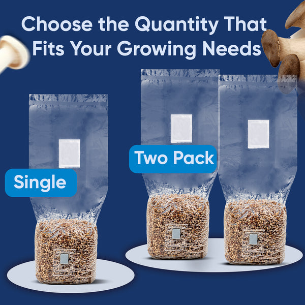 2lb Grain Bags