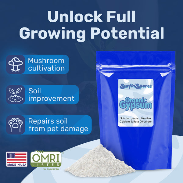 Gypsum Powder