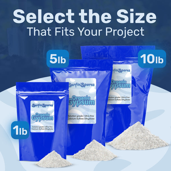 Gypsum Powder