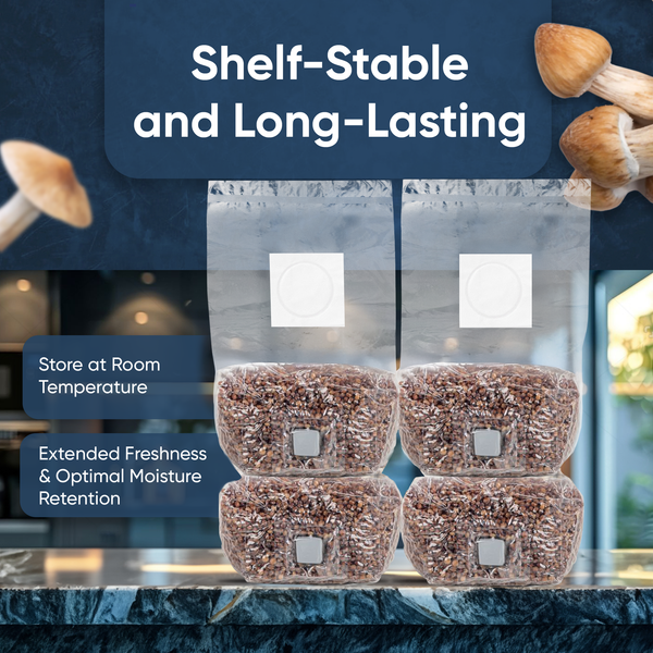 1lb Grain Bags