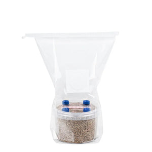 Brown Rice Flower in a air regulated container and grow kit bag