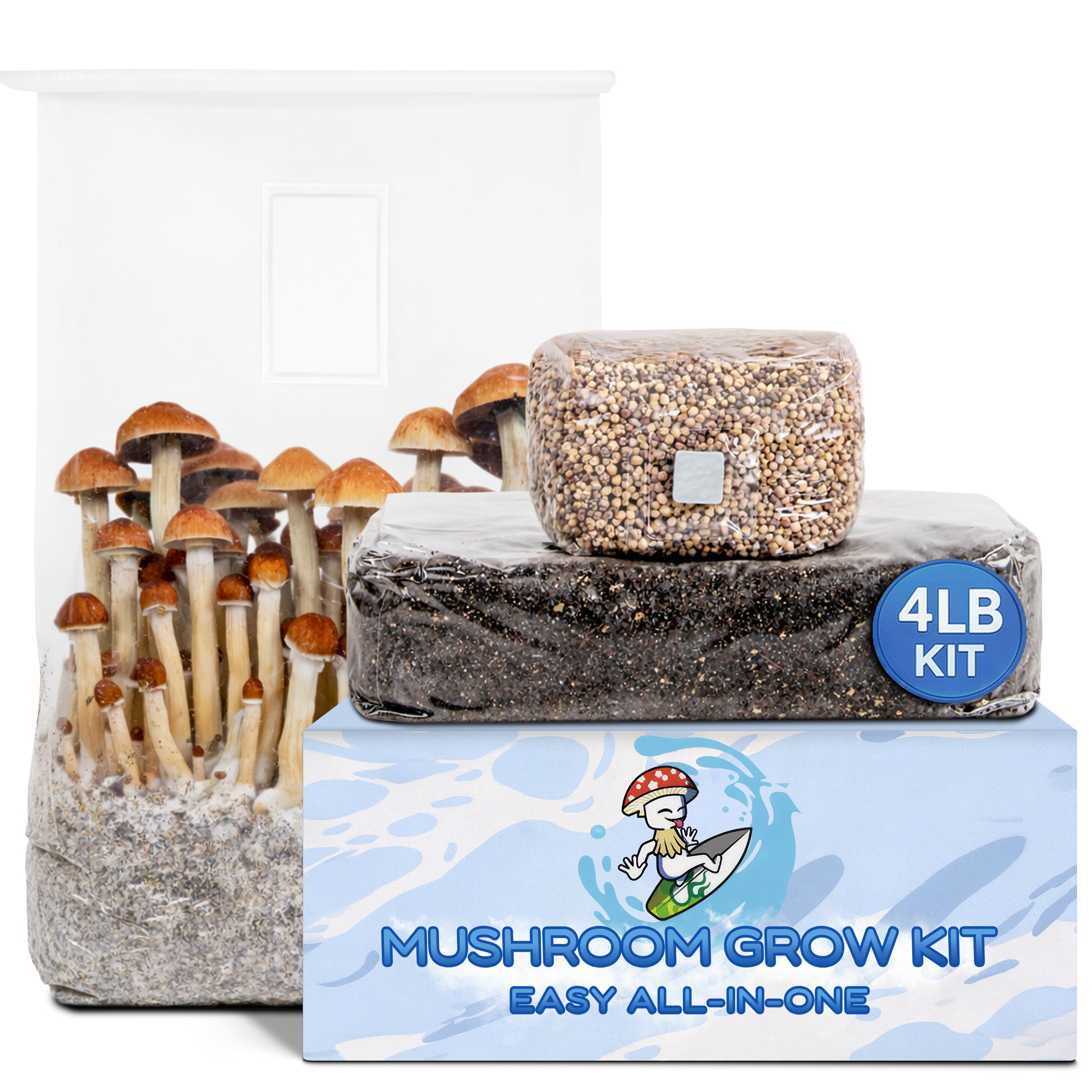 4lb Mushroom Grow Kit – Surfin' Spores