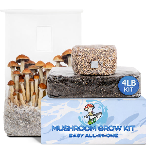 4lb Mushroom Grow Kit